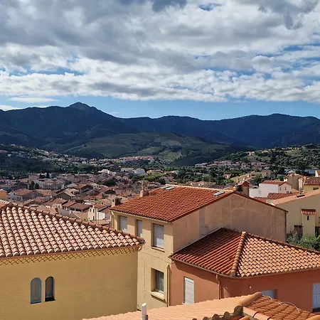 A Banyuls-sur-mer, Terrasse Proche Plages - Fr-1-309-73 *
