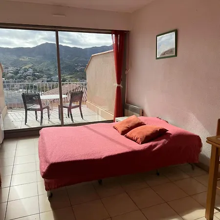 A Banyuls-sur-mer, Terrasse Proche Plages - Fr-1-309-73 Banyuls-sur-Mer